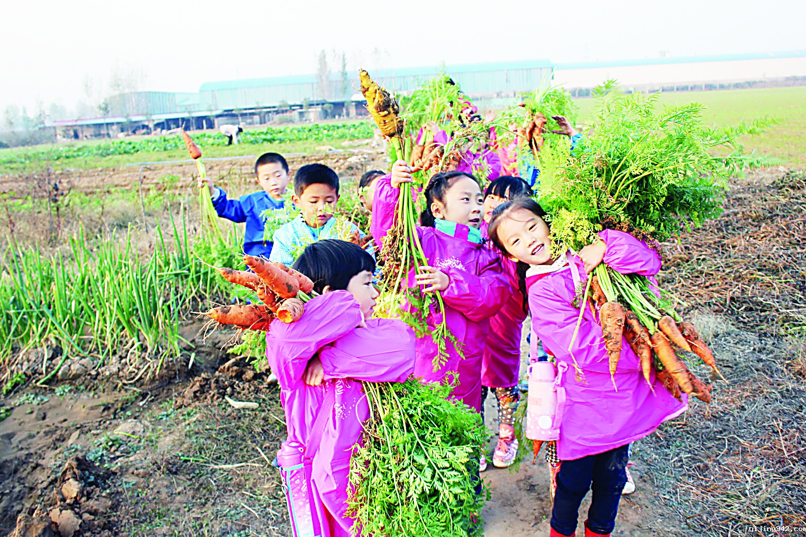 孩子们的课堂“收获“.JPG