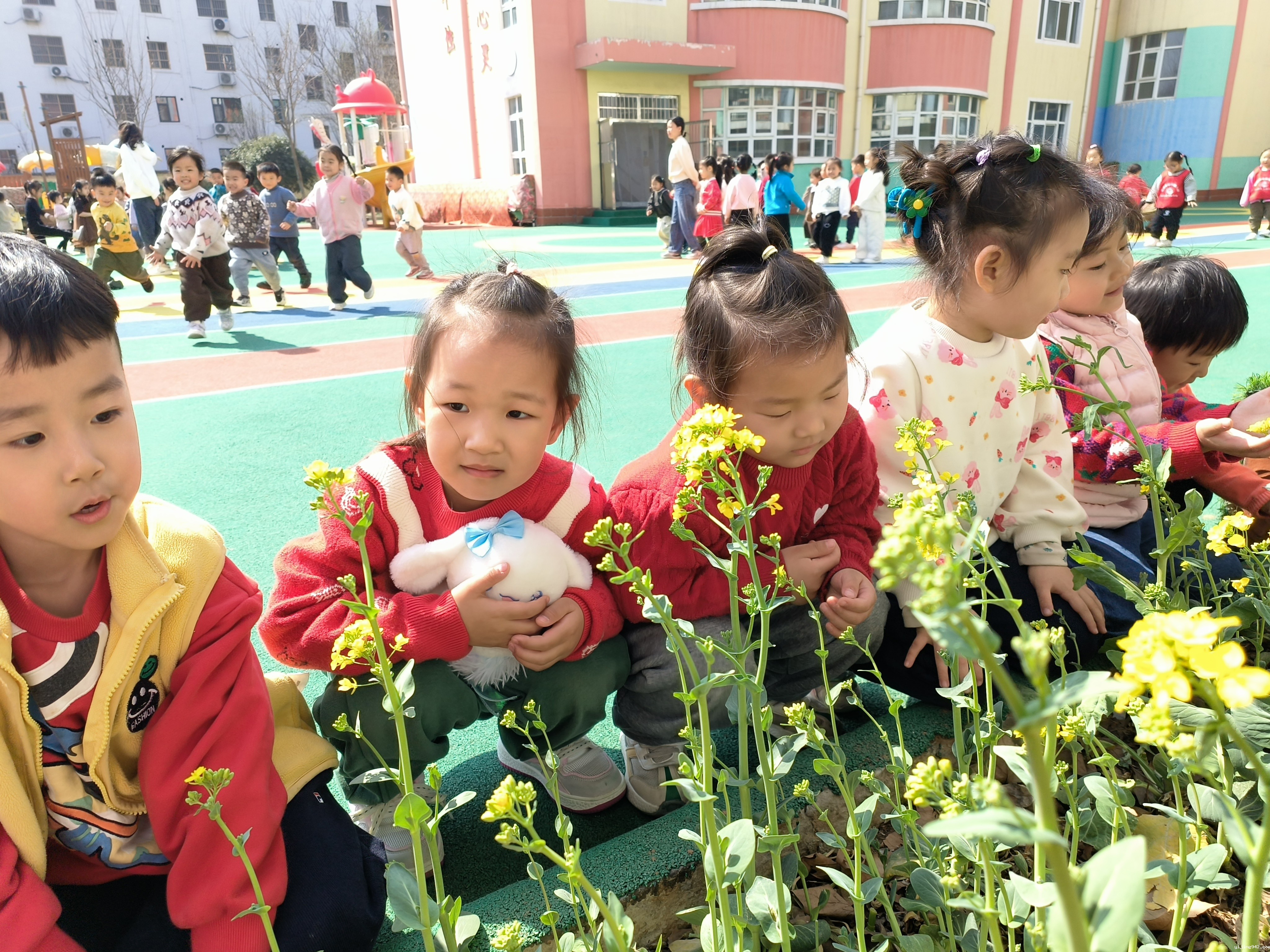 感受植物生长奥秘2.jpg