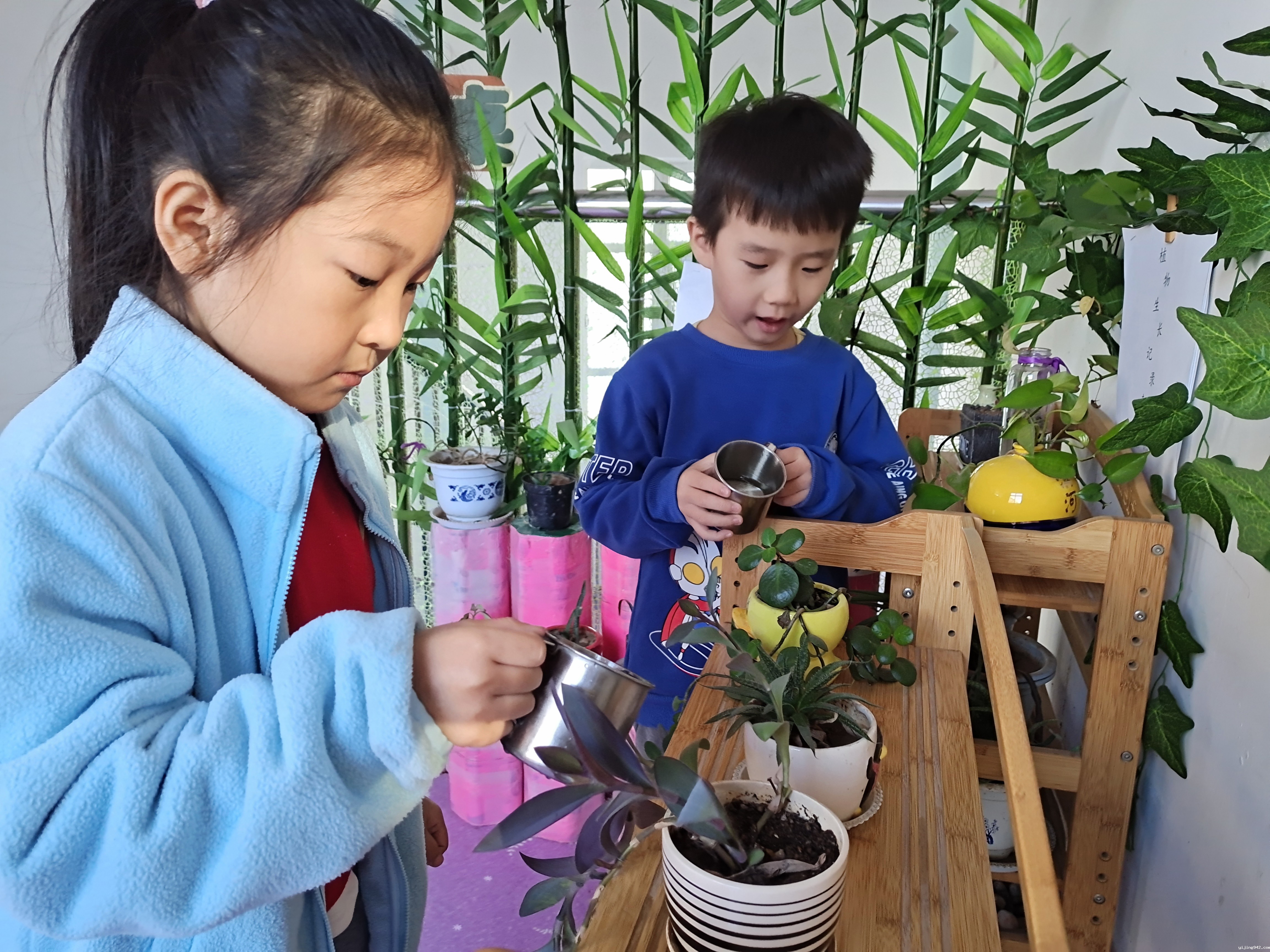 感受植物生长奥秘1.jpg