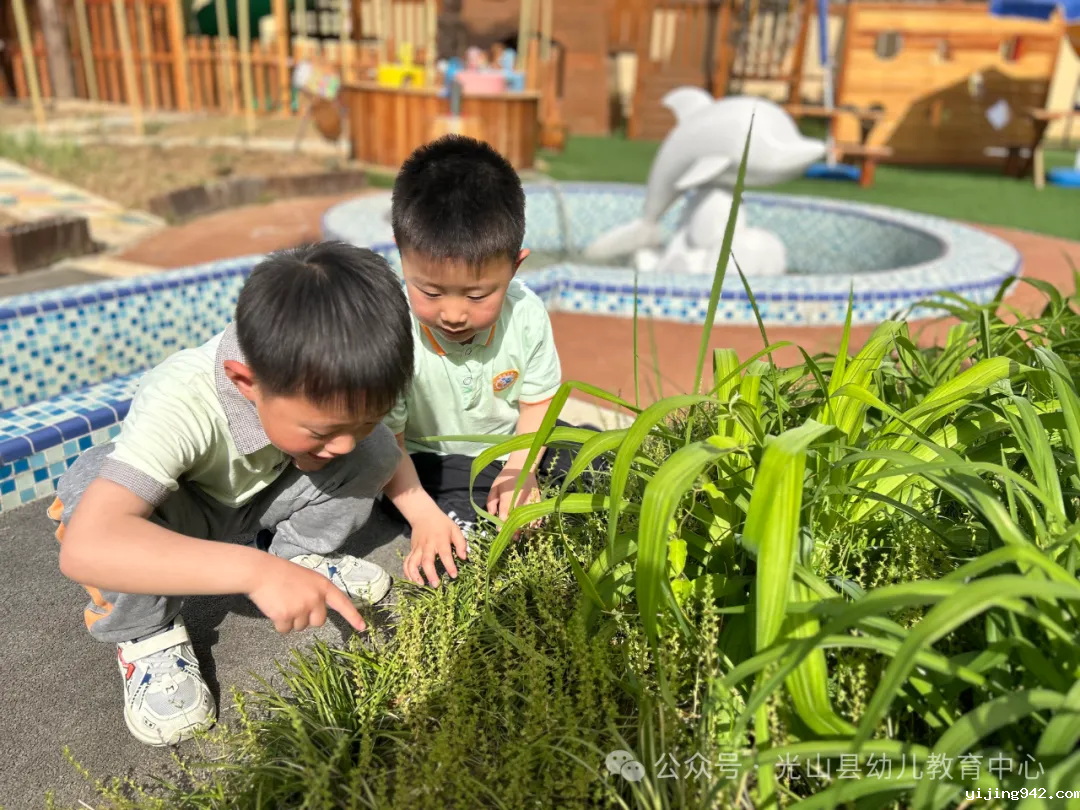 自然小课堂：春天的野草.png